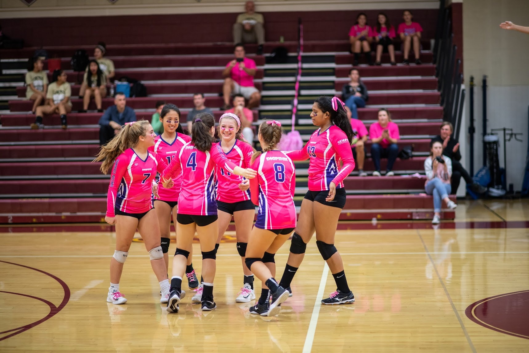 Dig Pink Celebration