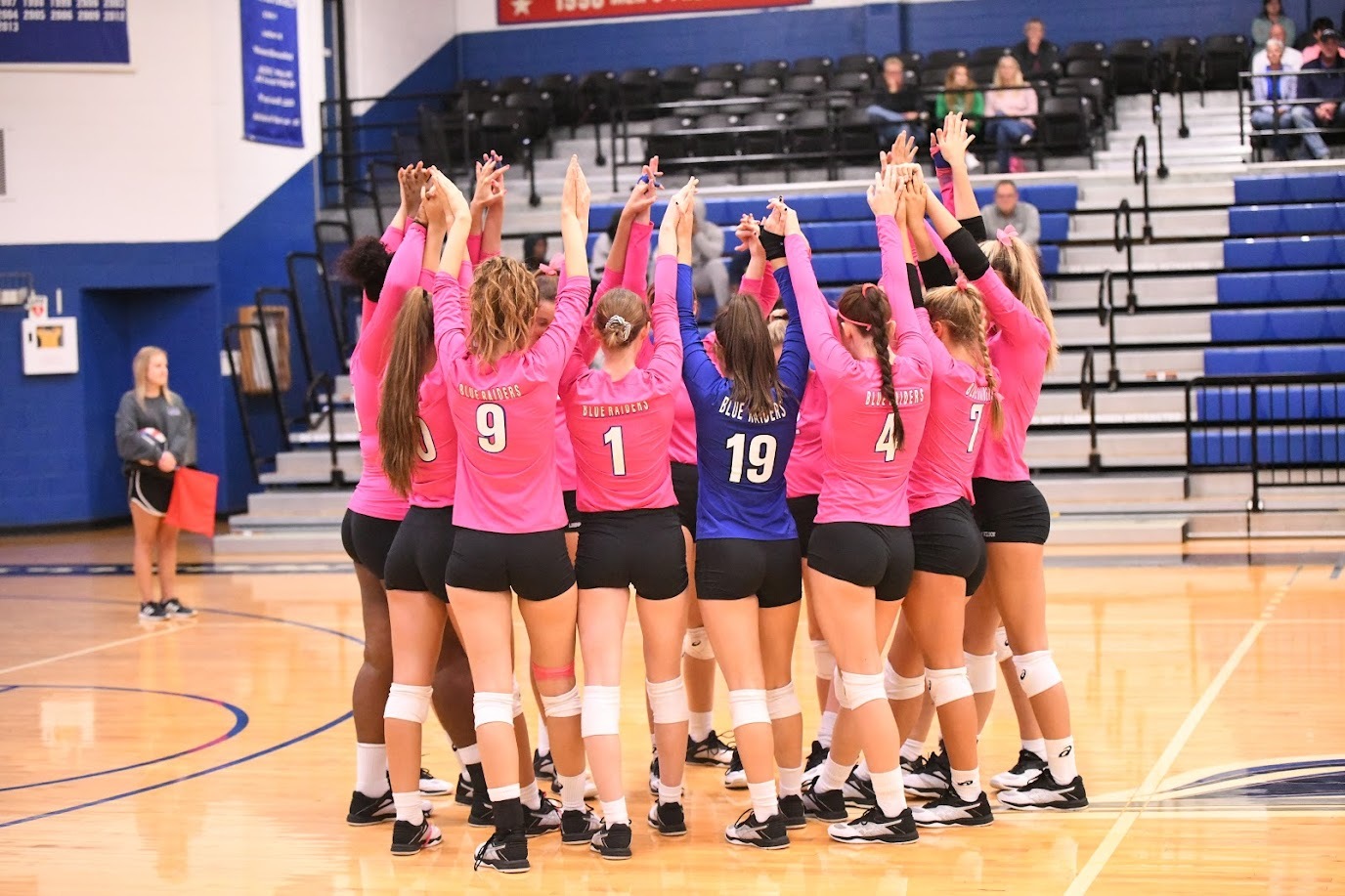 Dig Pink Campaign
